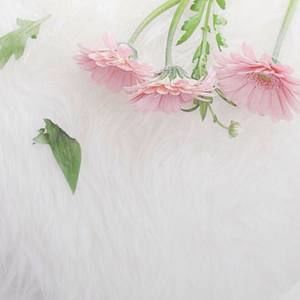 Meet your Posher, Saba